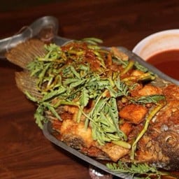 แกงส้มปลาทับทิม