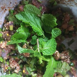 ก้อยเนื้อ