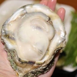 หอยนางรมตัวใหญ่