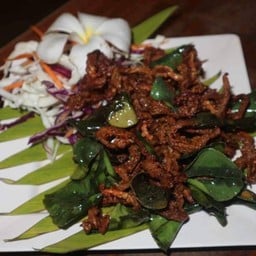 ปากหนามทอด