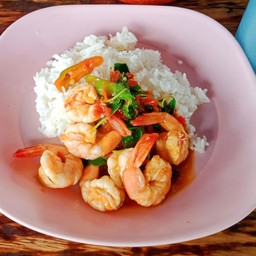 ผัดกระเพรากุ้ง ราดข้าว