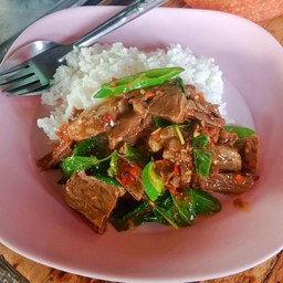 ผัดกระเพราเนื้อ ราดข้าว