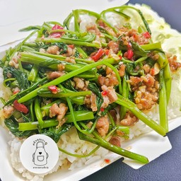 ข้าวราดผัดผักบุ้งหมูสับ
