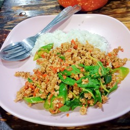 ผัดกระเพราหมูสับ ราดข้าว