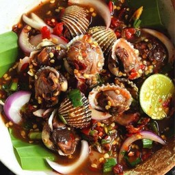 เหลาหอยแครง