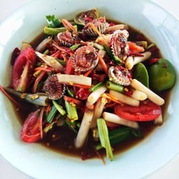 ไหลบัวหอยแครง