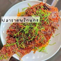 ข้าวปลานิล ราดพริกแกง