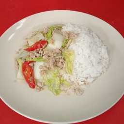 ผัดผักกาดขาวหมูสับราดข้าว