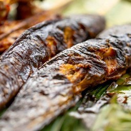 ปลาดุกย่าง