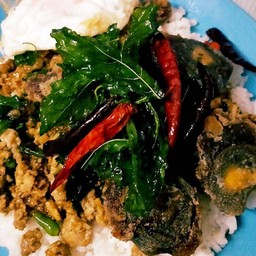 ไข่เยี่ยวม้าหมูสับกะเพรากรอบราดข้าว