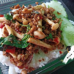 ข้าวราดกระเพาหมูสับใส่เห็ด