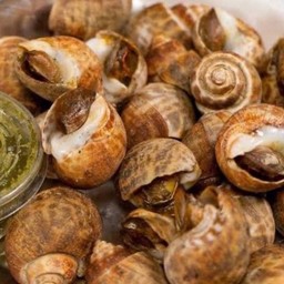 หอยหวานเผา 1 โล