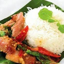 ข้าวกะเพราไก่ย่าง