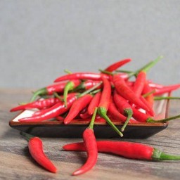พริกขี้หนูแดง