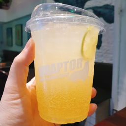 Honey Lime Soda (L)