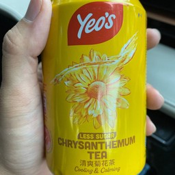 น้ำเก๊กฮวย