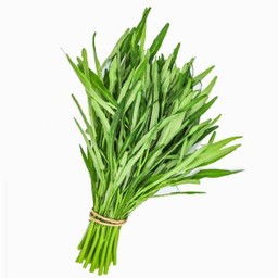 ผักบุ้งจีน