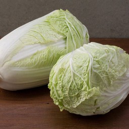 ผักกาดขาว