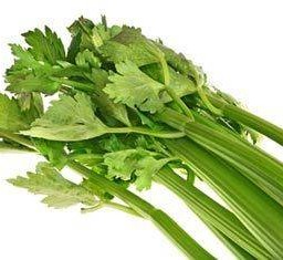 ตั้งโอ๋ หรือ คื่นช่าย