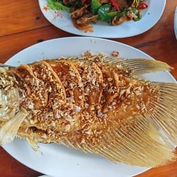 ต๋อง ปลาแม่น้ำ