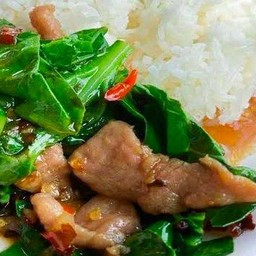 ข้าวคะน้าหมูชิ้น