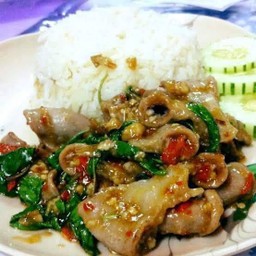 ข้าว กะเพราไส้อ่อนหมู