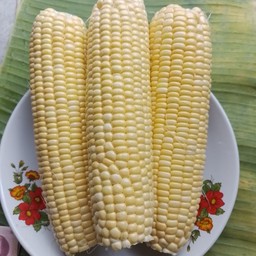 ข้าวโพดหวานต้ม