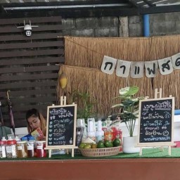 ต้นข้าวสตั๊ดคาเฟ่