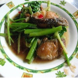 ปลาช่อนทอดผัดคื่นฉ่าย