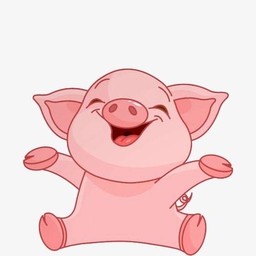 ข้าวผงกะหรี่หมู