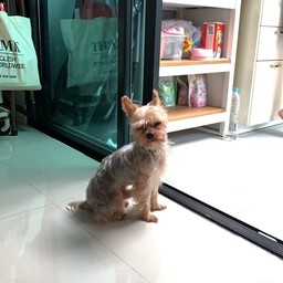 Yogygutty - greek yogurt(กรีกโยเกิร์ต) พัฒนาการ-เอกมัย