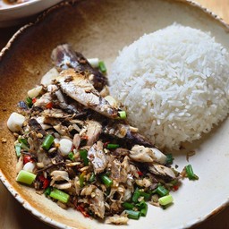 ข้าวราดปลาทูคั่วพริกเกลือ
