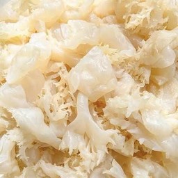 แมงกระพรุน2ชิ้น