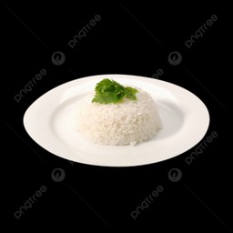 ข้าวเปล่า จาน