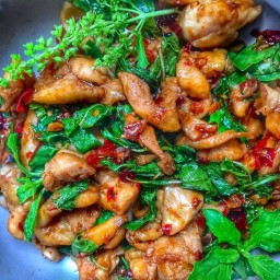 ข้าวกะเพราหมูเผ็ดแห้ง (คอนโดพัทยา)