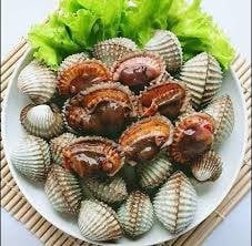 หอยแครงลวก