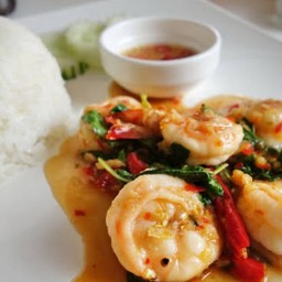 ผัดกะเพรากุ้งราดข้าว