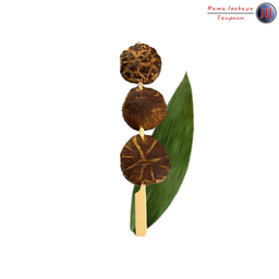 เห็ดหอมเสียบไม้ (Shiitake Skewers)