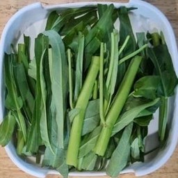 ผักบุ้ง~