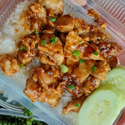 หมูผัดน้ำมันหอย (ราดข้าว)