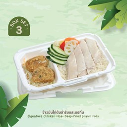 Eco Set 03