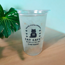 บ๊วยโซดา