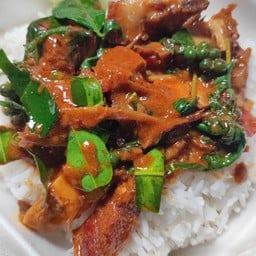 ผัดเผ็ดราดข้าว