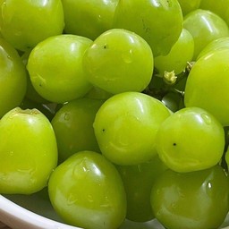 Shine muscat - องุ่นไซมัสคัส (50g.)