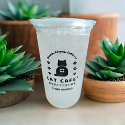 ลิ้นจี่โซดา