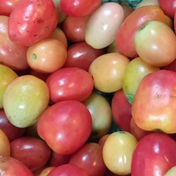 มะเขือเทศ150กรัม