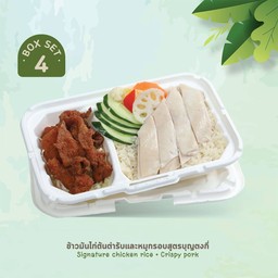 Eco Set 04