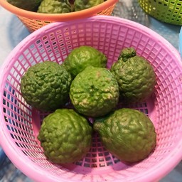 ลูกมะกรูด4ลูก