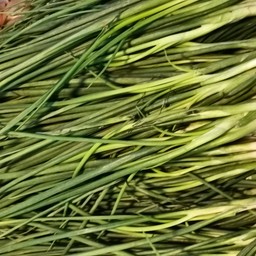 ต้นหอม100กรัม