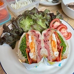 ขนมปังแซนวิชเกาหลี Sandwich and Salad - ALITA